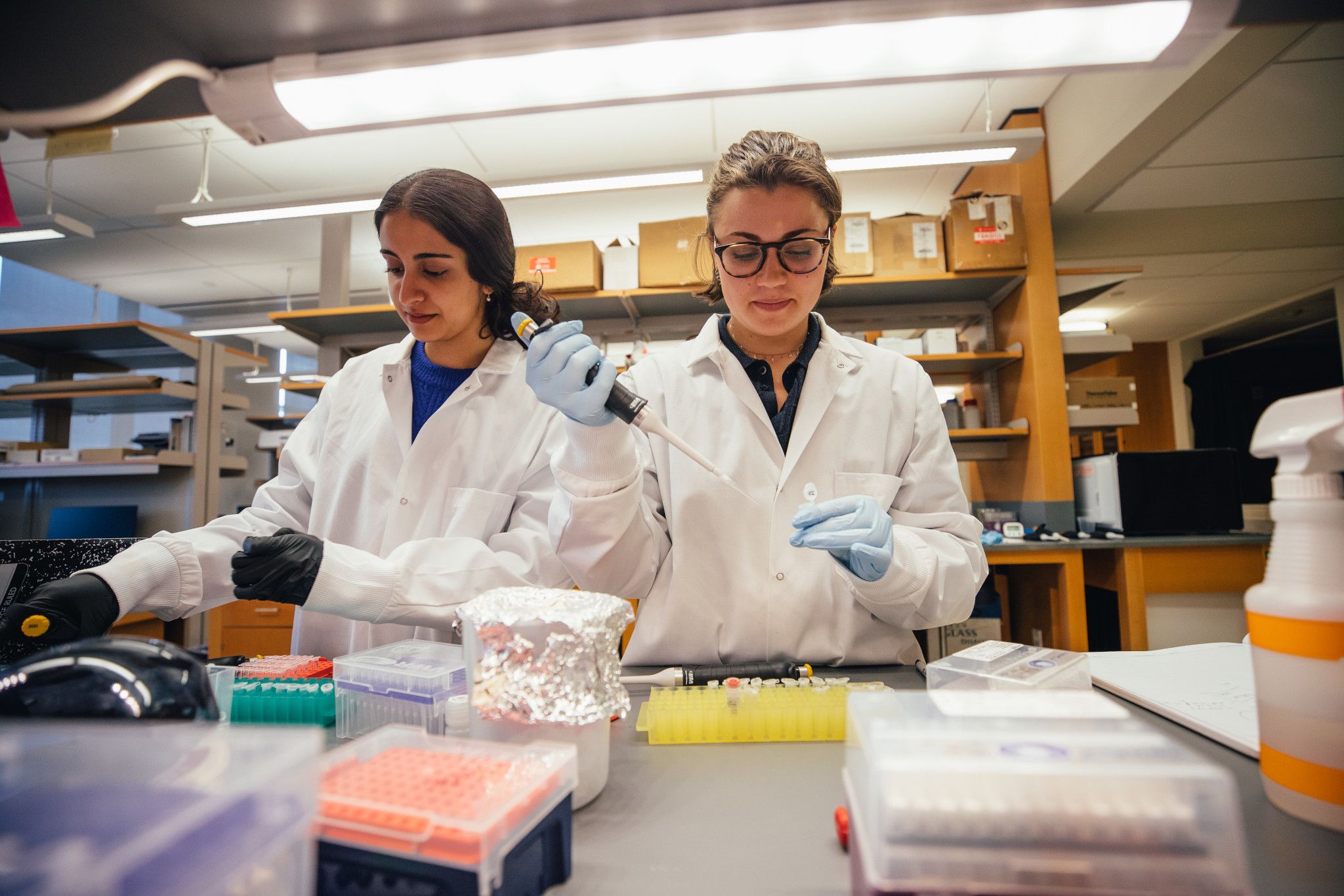 Two students working in a lab.