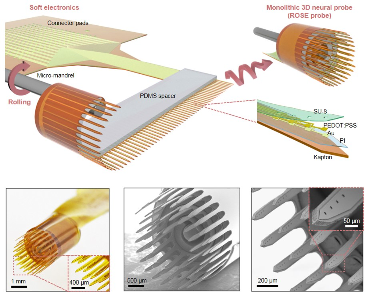 3D neural ROSE probe