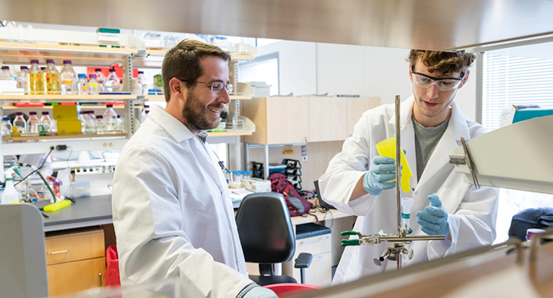 McLellan Lab