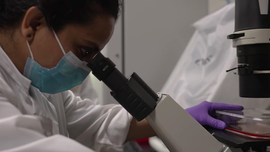 person looking into microscope
