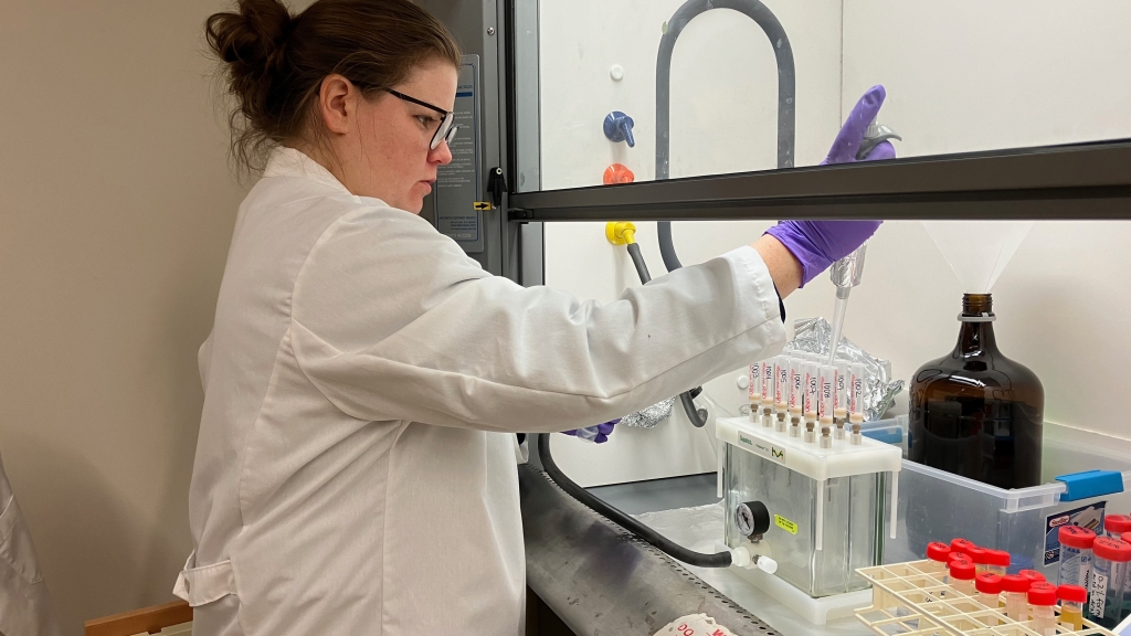 Co-author Christine Gardiner extracts seafood samples to test
