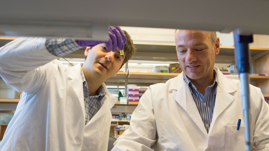 Faculty working in a lab.
