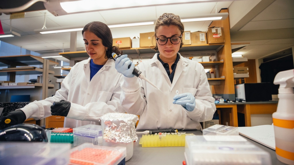 Two students working in a lab.