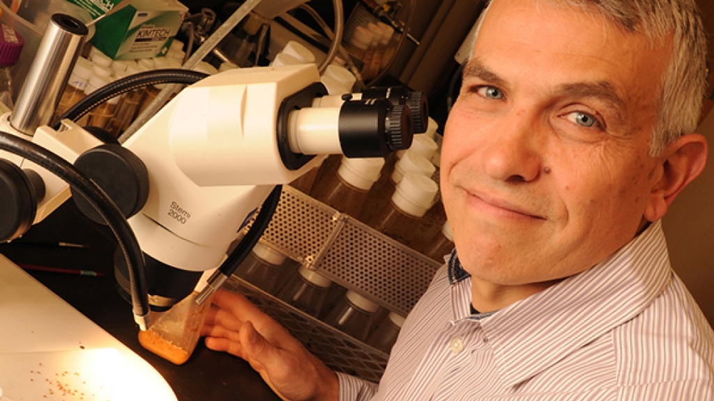 Associate Professor Giovanni Bosco